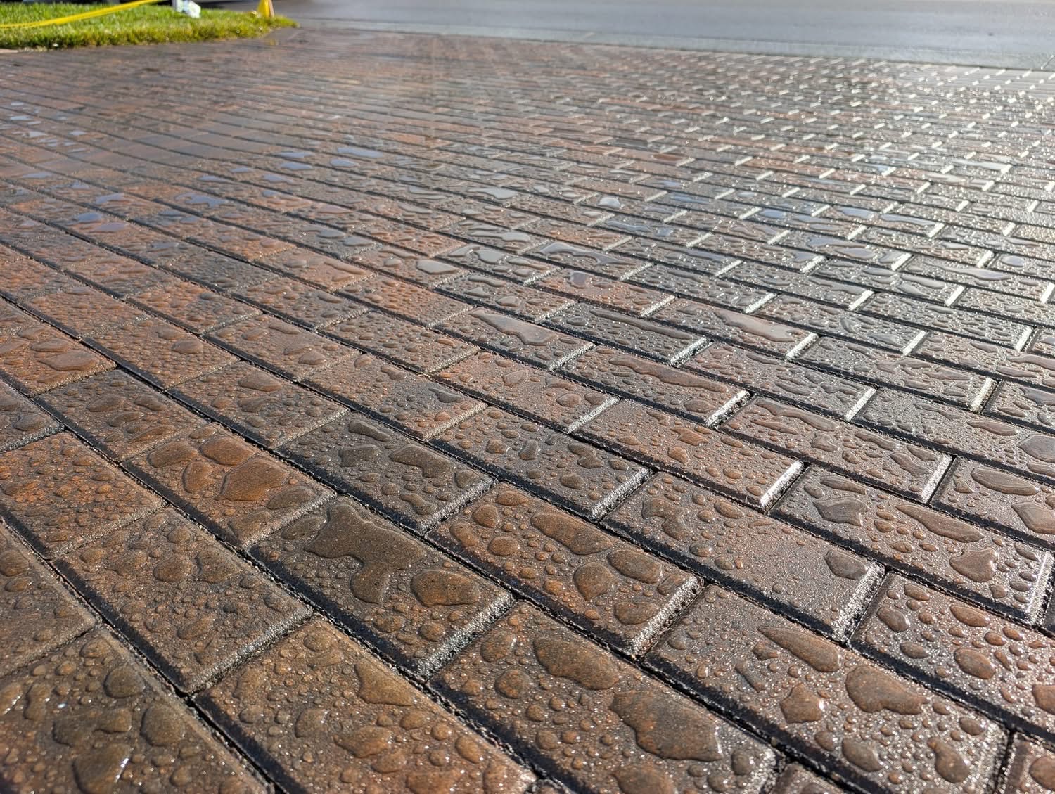 Freshly sealed pavers with water beading on the surface